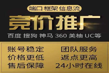 SEM托管实战案例：揭秘高效广告投放秘诀